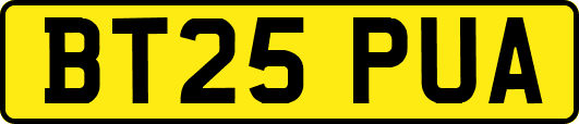 BT25PUA