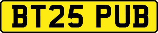 BT25PUB