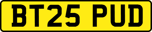 BT25PUD