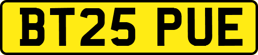 BT25PUE