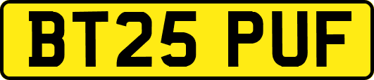 BT25PUF