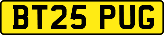 BT25PUG