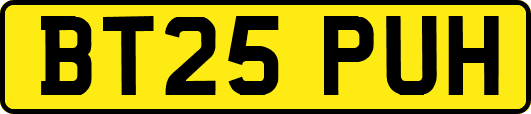 BT25PUH
