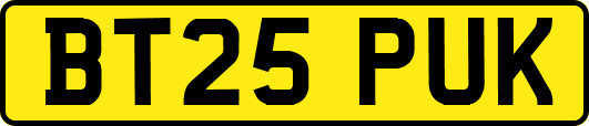BT25PUK