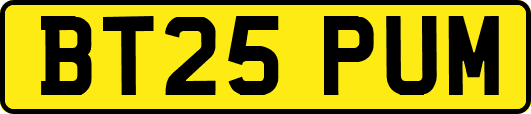 BT25PUM