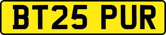 BT25PUR