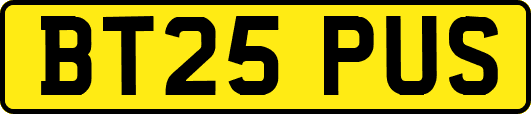 BT25PUS