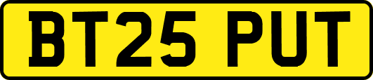 BT25PUT