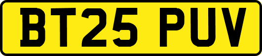BT25PUV