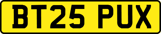 BT25PUX