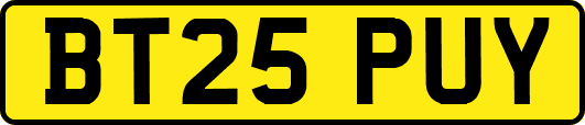 BT25PUY