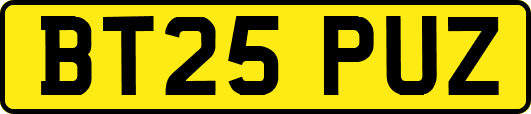 BT25PUZ