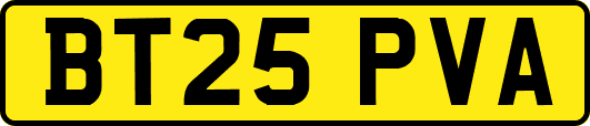 BT25PVA