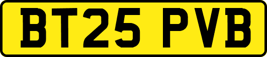 BT25PVB