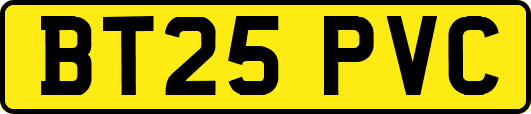 BT25PVC