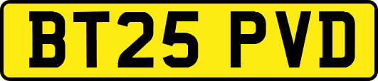 BT25PVD