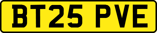 BT25PVE
