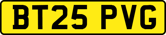BT25PVG