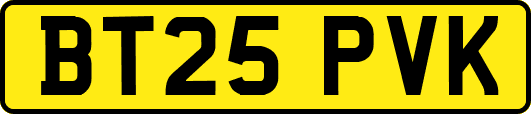 BT25PVK