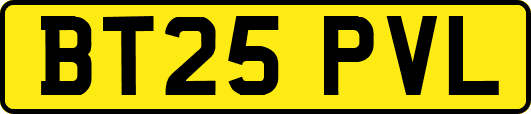 BT25PVL