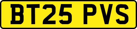BT25PVS