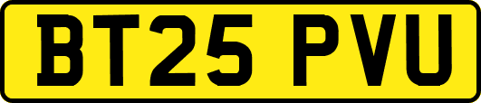 BT25PVU