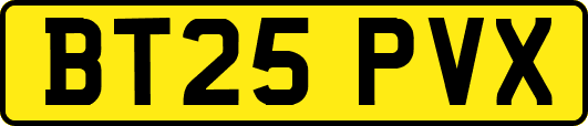 BT25PVX