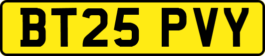 BT25PVY