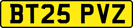 BT25PVZ