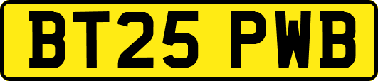 BT25PWB
