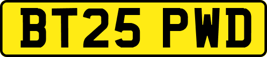 BT25PWD