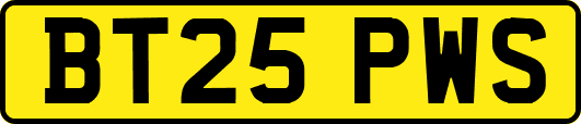 BT25PWS