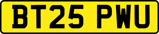 BT25PWU