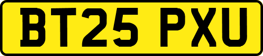 BT25PXU