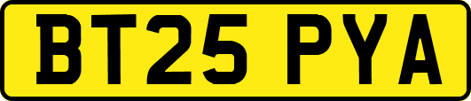 BT25PYA