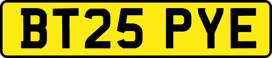BT25PYE