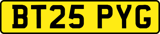 BT25PYG