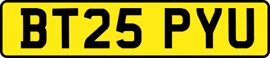 BT25PYU