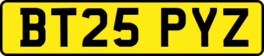 BT25PYZ