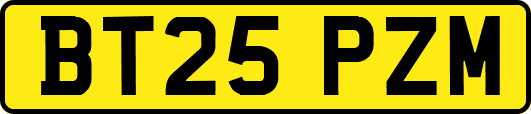 BT25PZM