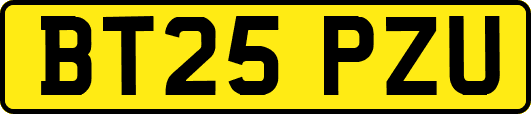 BT25PZU