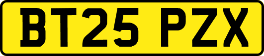 BT25PZX