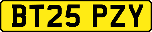 BT25PZY