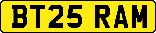 BT25RAM