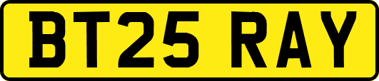 BT25RAY