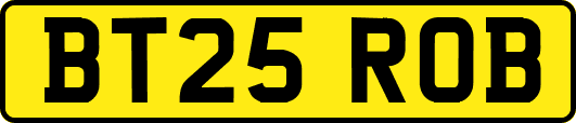 BT25ROB