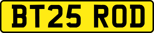 BT25ROD