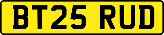 BT25RUD