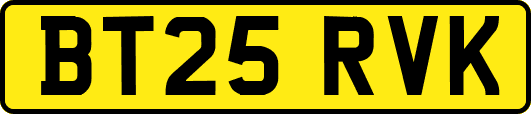 BT25RVK
