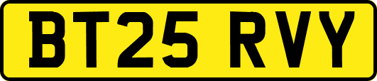 BT25RVY